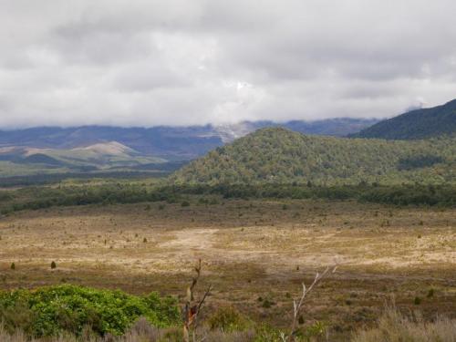 P1000678