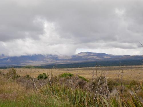P1000679