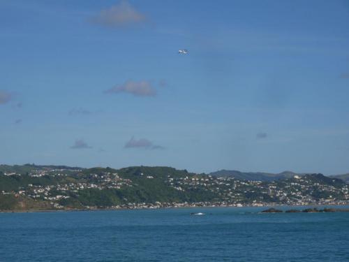 P1000794